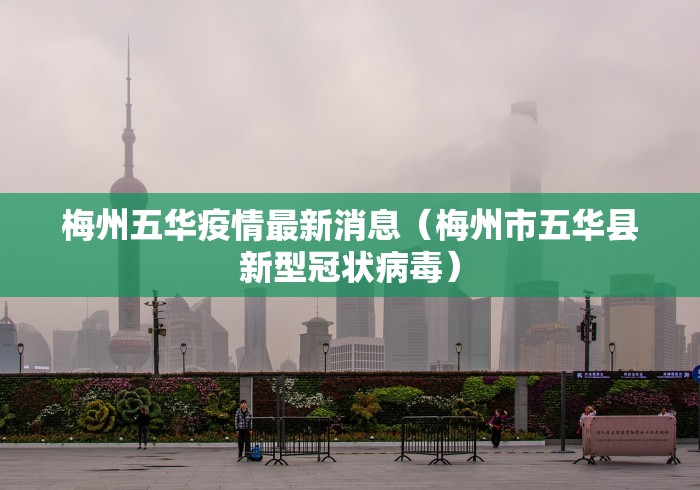 独家脚本实测“微乐安徽麻将怎么提高胜率	”(详细辅助脚本)