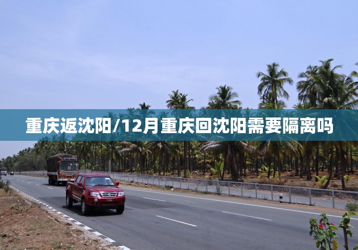 辅助神器“麻友圈2透视辅助”辅助挂下载