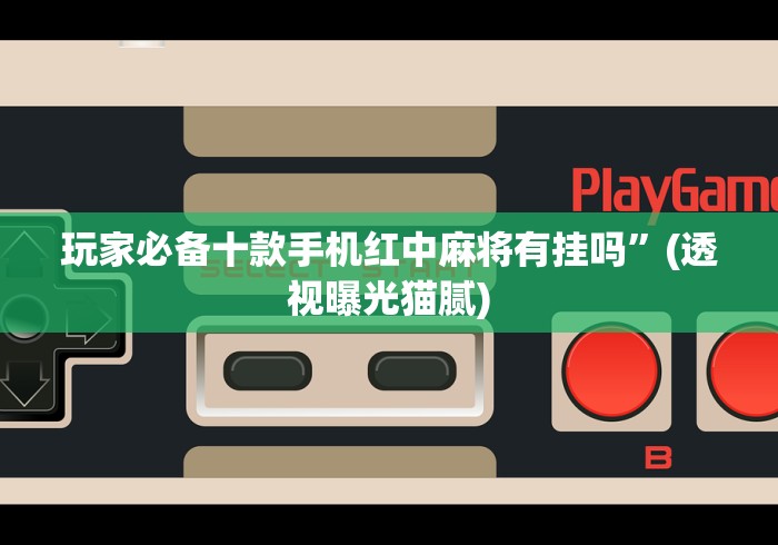 终于懂了“网上麻将开挂神器”详细辅助透视