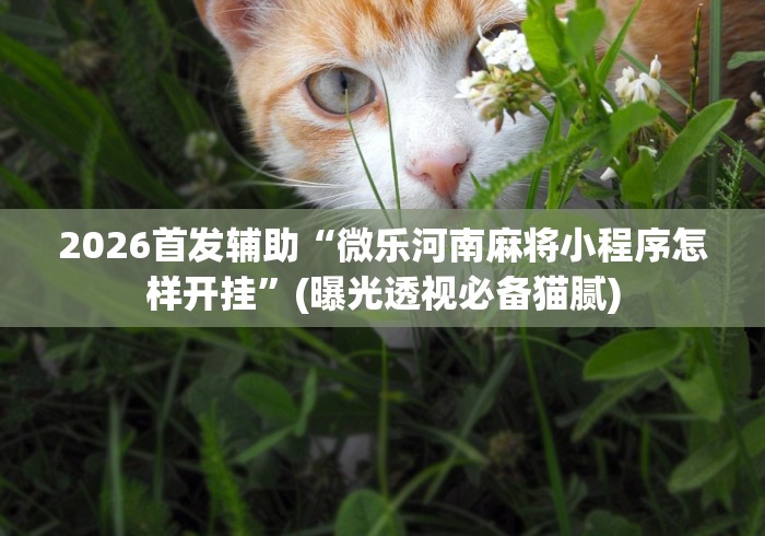 【第一攻略】“博雅地方棋牌有挂吗”开挂(透视)辅助神器