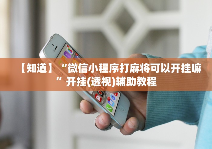 使用分享“金兰娱乐兰溪麻将挂好用吗”开挂(透视)辅助