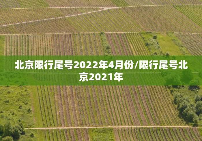 玩家最新攻略“微信财神十三张破解器	”开挂详细教程
