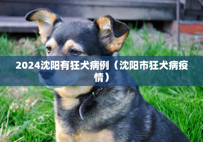 必看教程“圣盛晃晃麻将有开挂的吗”开挂辅助详细步骤