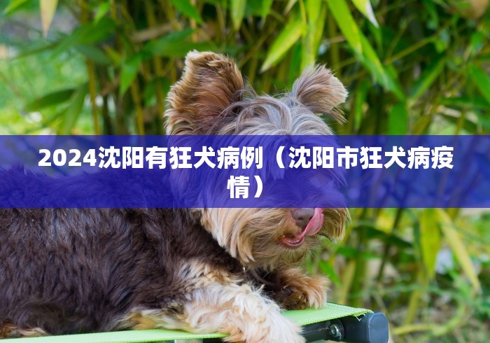 2026首发辅助“手机决战血流麻将开挂神器下载软件”附开挂脚本详细步骤