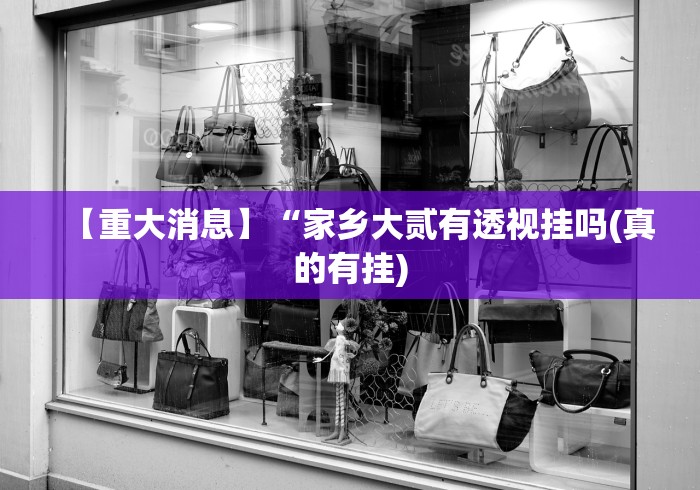 安装程序教程“手机麻将挂在哪里购买	”开挂科技辅助神器手机