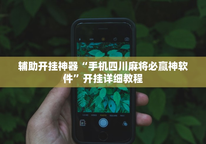 辅助神器“雀神麻将外卦神器通用版”开挂辅助详细步骤