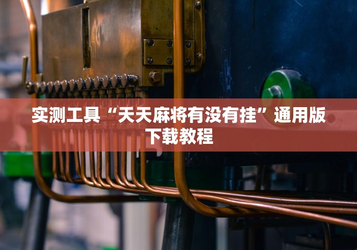 实操教程“手机麻将十打九赢专业神器	”(透视)开挂辅助脚本+详细开挂安装教程