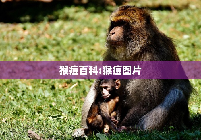助赢神器“来一把麻将开挂”详细辅助透视