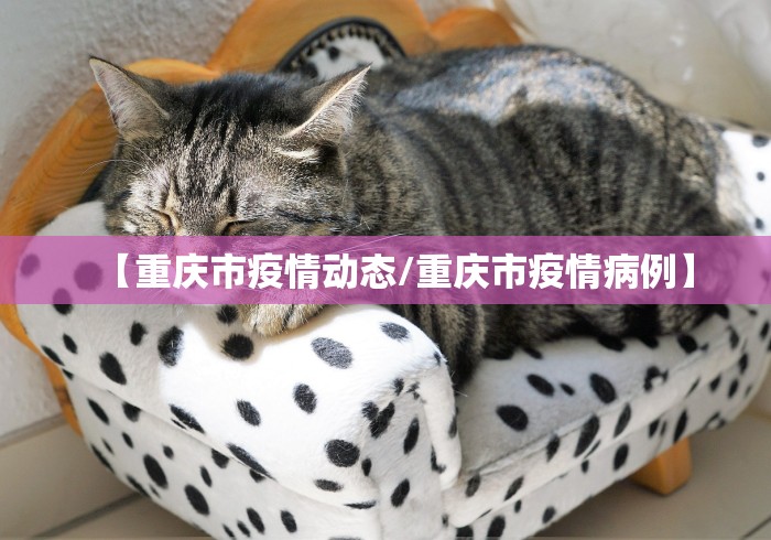 必看教程“好运麻将有挂可测试来”开挂(透视)辅助神器