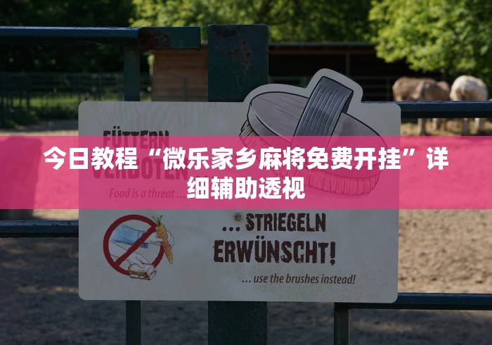 今日教程“微乐家乡麻将免费开挂”详细辅助透视