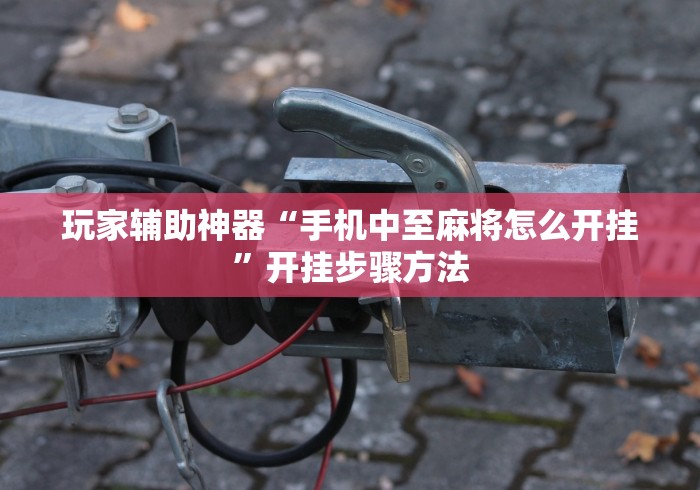 玩家辅助神器“手机中至麻将怎么开挂	”开挂步骤方法