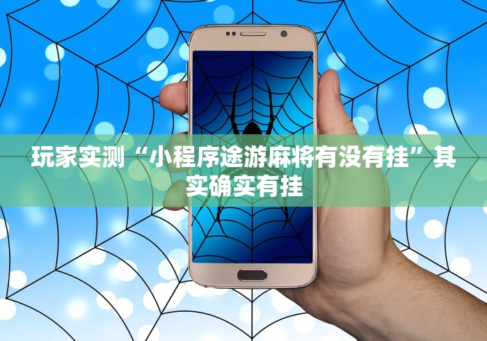 玩家实测“小程序途游麻将有没有挂”其实确实有挂