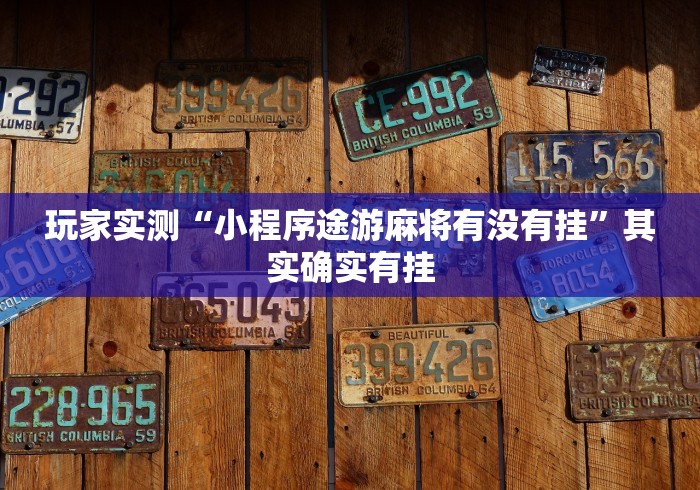 玩家实测“小程序途游麻将有没有挂	”其实确实有挂